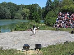 101PARC AUX OISEAUX DANS L AIN 2016 3_000040